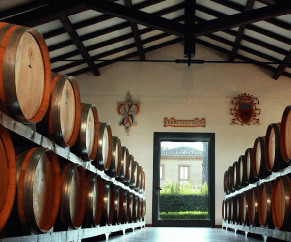 Venosa: Re Manfredi Winery Tour with Tastings – Apulia, Italy