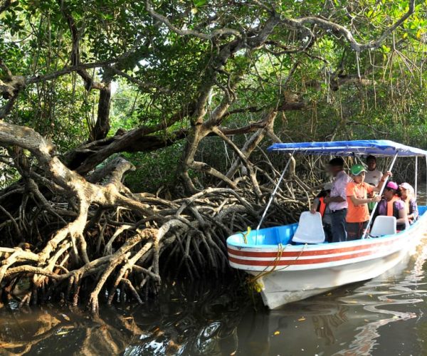 Veracruz: 5-Attraction Tour with Aquarium and Boat Tour – Veracruz (State), Mexico