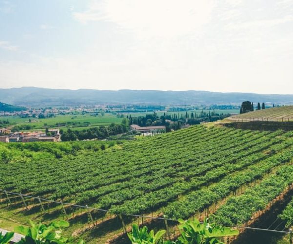 Verona: Amarone Countryside E-Bike Tour and Wine Tasting – Veneto, Italy