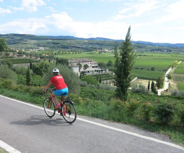 Verona: Valpolicella Wine Self-Guided E-Bike Tour & Tastings – Veneto, Italy