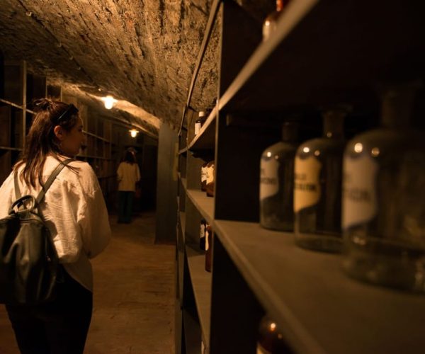 Vienna: Historical Pharmacy Cellar Guided Tour – Vienna, Austria