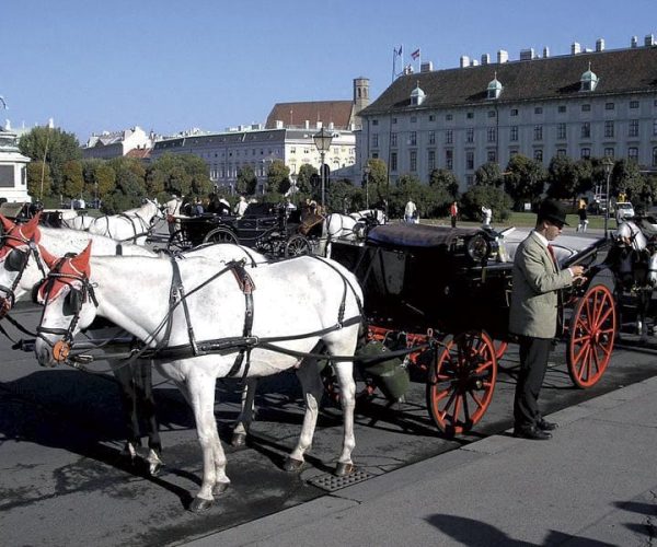 Vienna: Mozart Concert with Dinner and Carriage Ride – Vienna, Austria