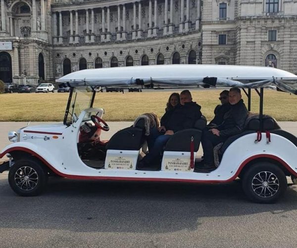 Vienna: Sightseeing Tour in an 8 seats electric classic car – Vienna, Austria