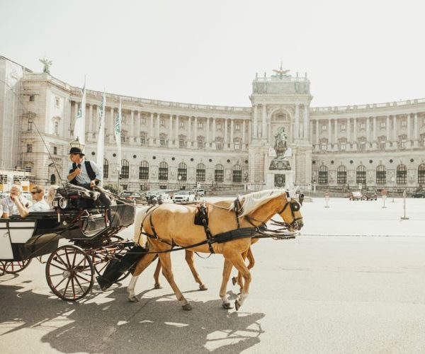 Vienna: Tour with Private Guide – Vienna, Austria