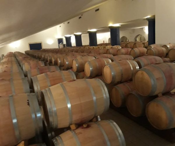 Visit of Bordeaux AND excursion in a vineyard – Nouvelle-Aquitaine, France