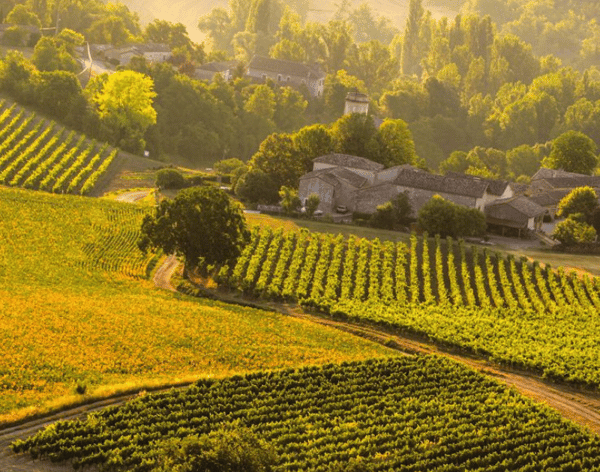 Visite des vignobles de Gaillac (81) – Occitanie, France