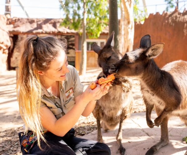 WILD LIFE Sydney Zoo – Sydney, Australia