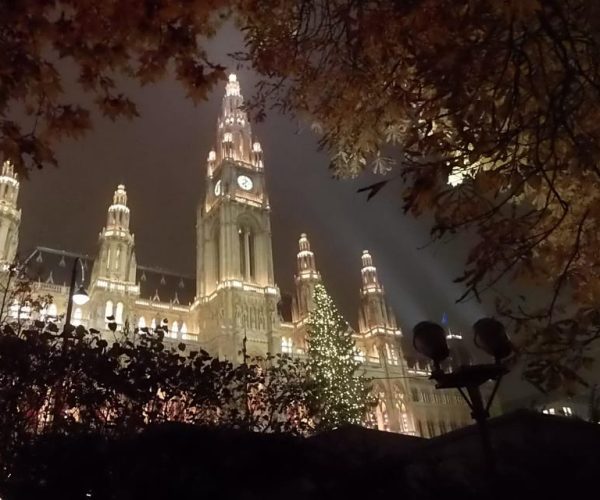 Walking on the historical trail of Viennese Christmas Trees – Vienna, Austria