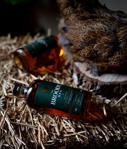 Whisky Tasting with The Broody Hen Scotch Whisky – Edinburgh, United Kingdom