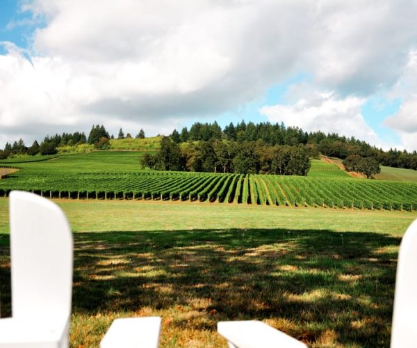 Willamette Valley Wine Tour (Tasting Fees Included) – Portland, Oregon