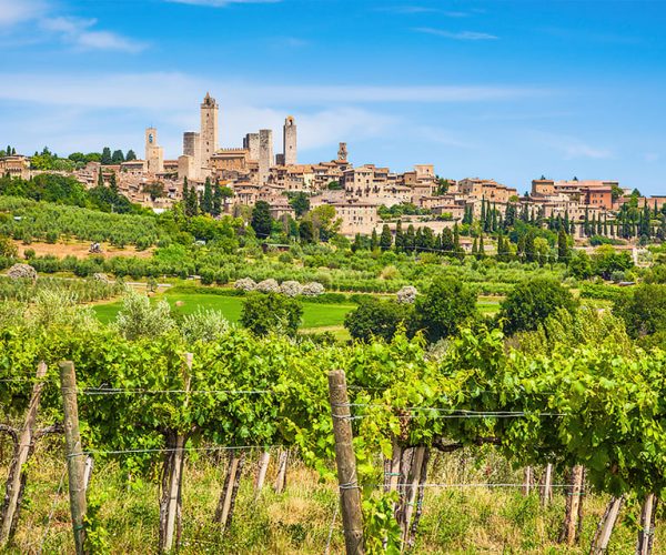 Wine and Oil Tasting with Tuscan Appetizers – Tuscany, Italy