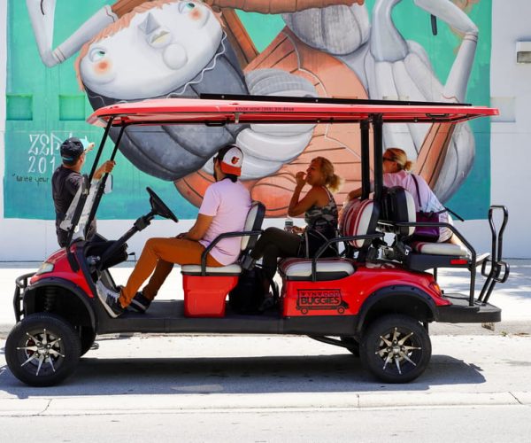 Wynwood Art District 1-Hour Wynwood Buggies Street Art Tour – Miami, Florida