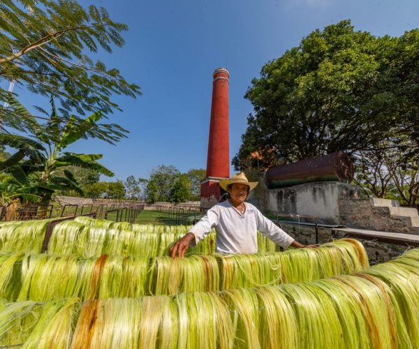 Yucatan: Guided Hacienda Day Trip – Yucatan Peninsula, Mexico