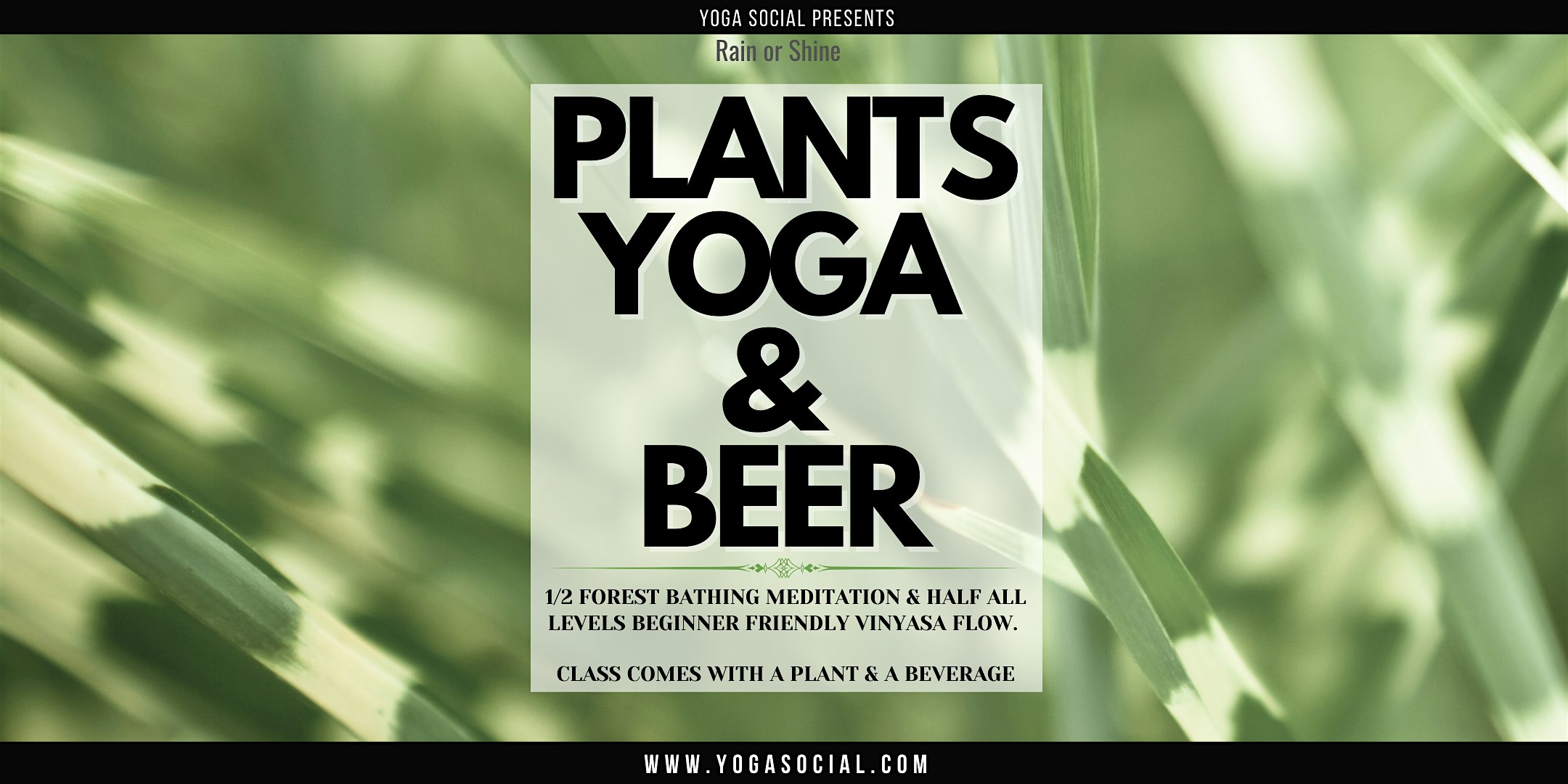 Plants, Yoga, & Beer at Bierstadt Lagerhaus – Denver, CO