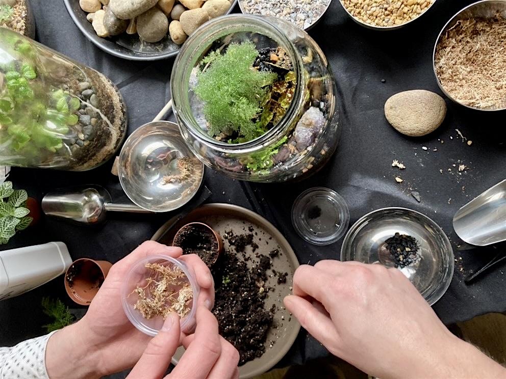 One Gallon BioActive Terrarium Workshop: Sunday February 23rd, 10am-12pm – Philadelphia, PA