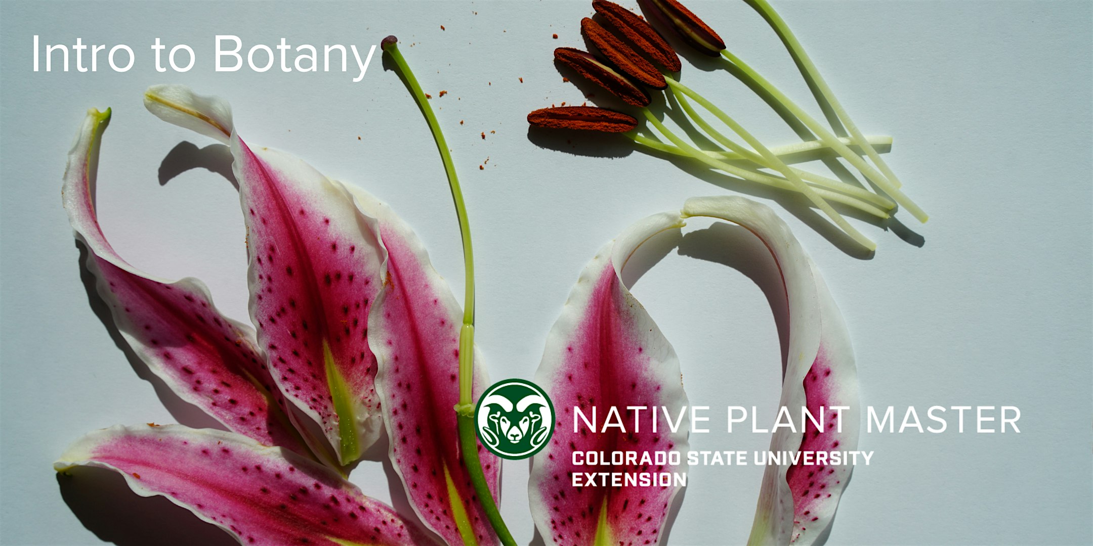 2025 NPM Intro to Botany Saturday, March 8 from 8:30am-12:30pm – Littleton, CO