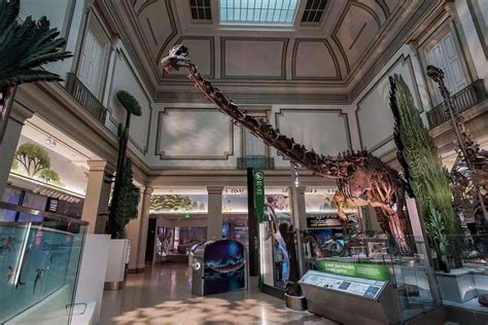 American History/Natural History Museum Combo Guided Tour – Washington DC