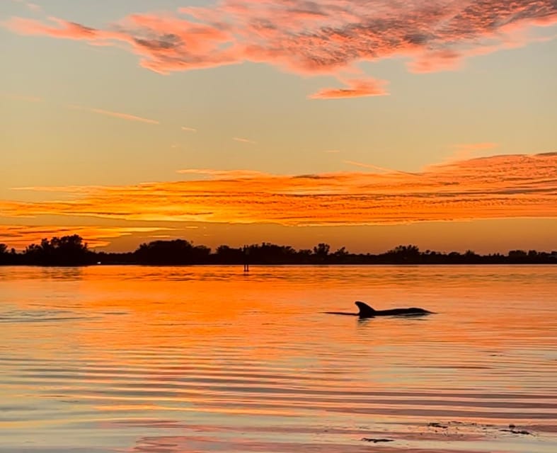 Anna Maria Island and Bradenton: Sunset Kayak Dolphin Tour – Bradenton, Florida