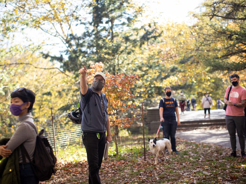 Brooklyn: 2-Hour Prospect Park Guided Walking Tour – New York City, New York