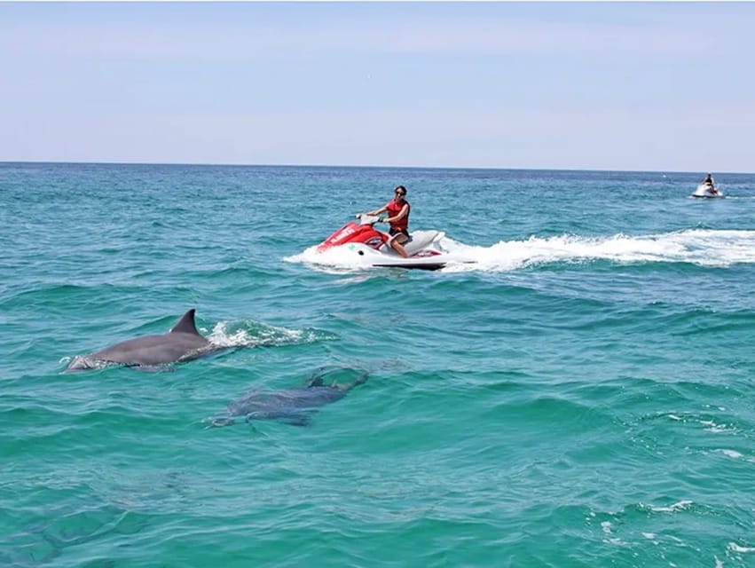 Cape Coral and Fort Myers: Wild Life Jet Ski Tour – Caloosahatchee River, Florida