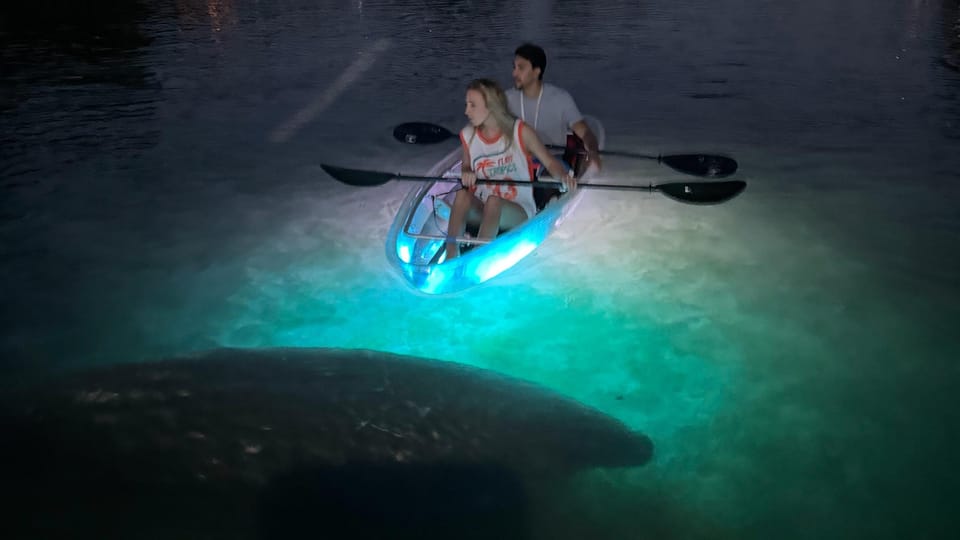 Clear Kayak Manatee Viewing Sunset & Glow Tour Crystal River – Crystal River, Florida