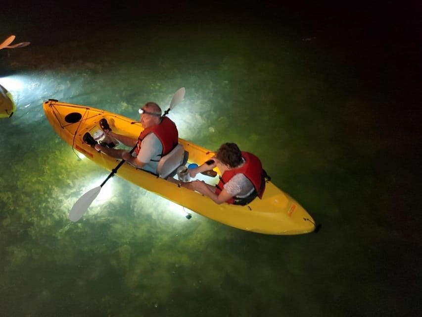 Clearwater Beach: Glass Bottom LED Kayak Night Tour – Clearwater, Florida