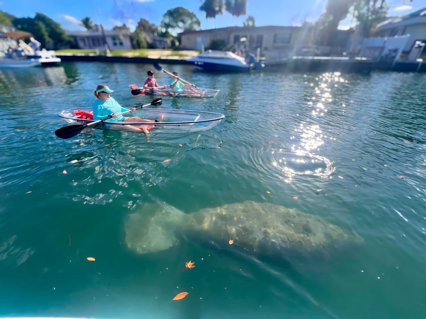 Crystal River: Clear Kayak Manatee Tour w/Free Photo Package – Crystal River, Florida