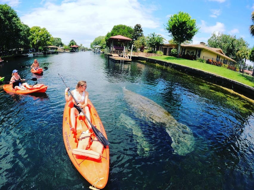 Crystal River: Kayak Rental – Crystal River, Florida