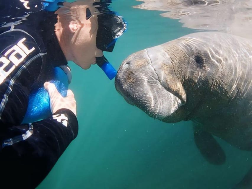 Crystal River: Semi-Private Manatee Swim With Heated Boat – Crystal River, Florida