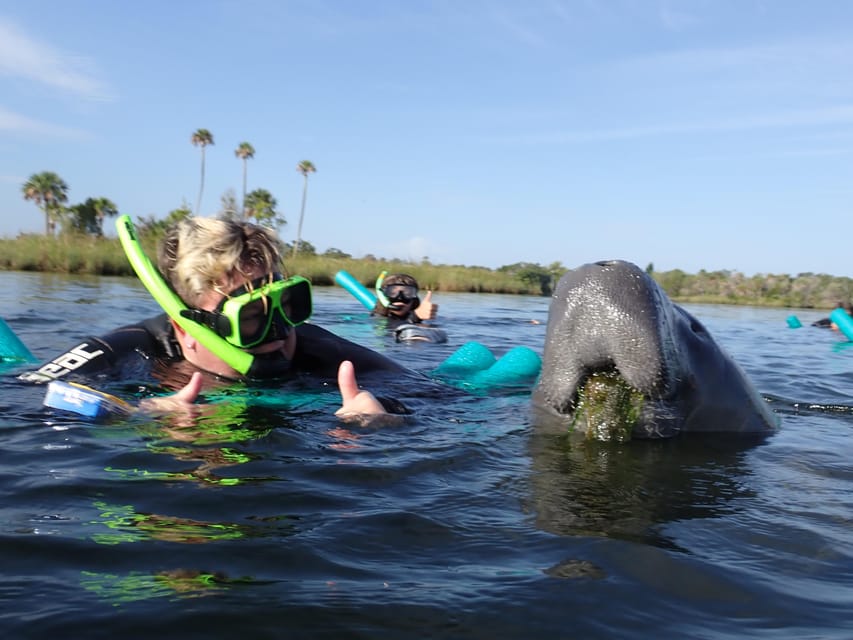 Crystal River: VIP Manatee Swim w/ In-water Photographer – Crystal River, Florida