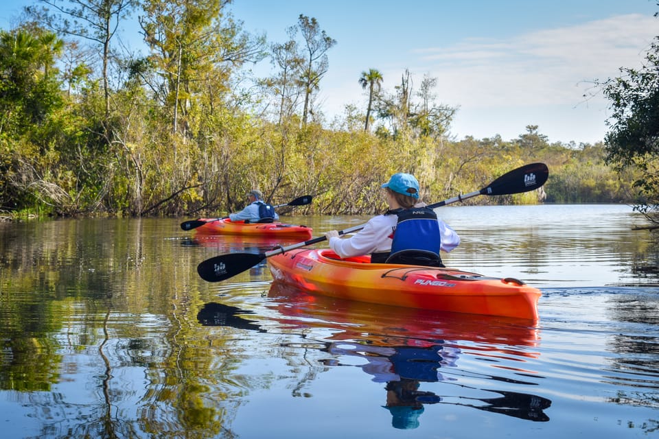 Everglades City: Guided Kayaking Tour of the Wetlands – Everglades City, Florida