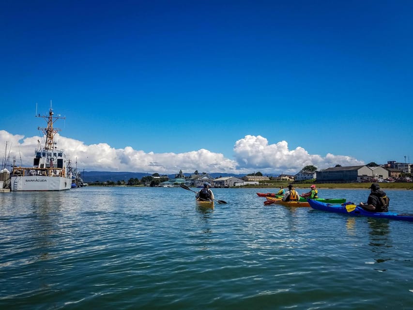 Explore Humboldt Bay by Kayak – California, California