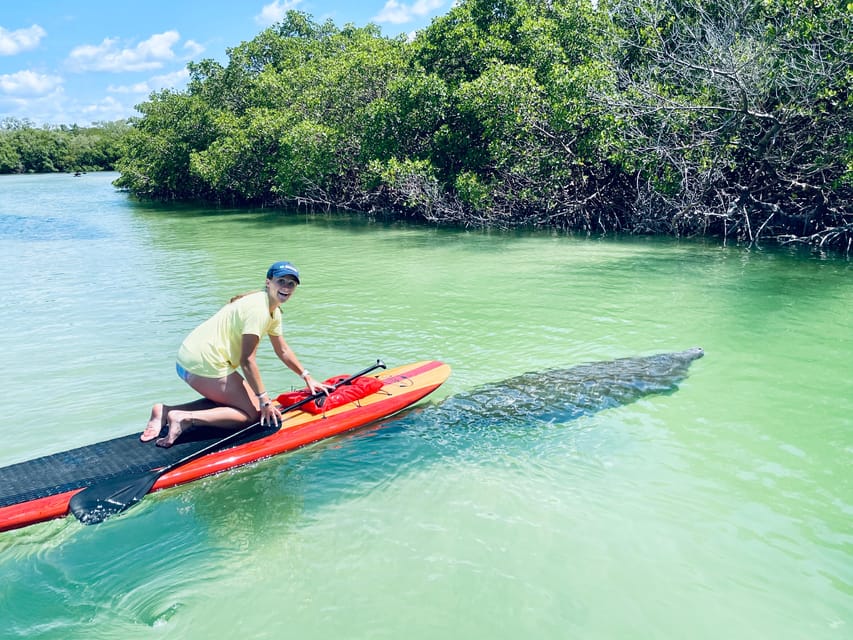 Fort Myers: Guided Standup Paddleboarding or Kayaking Tour – Fort Myers Beach, Florida