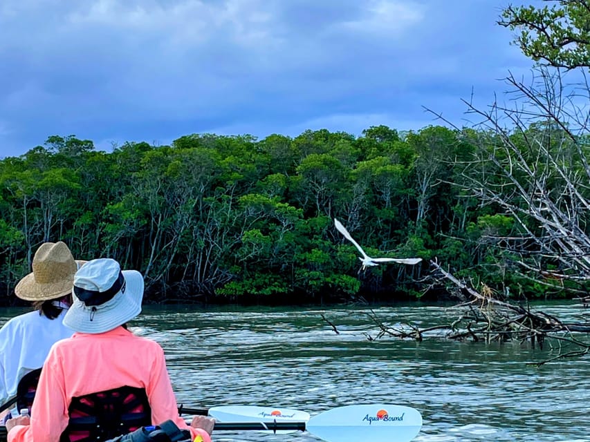 Fort Pierce: 4-hr Mangroves & Dolphin Watch Sandbar in FL – Fort Pierce, Florida