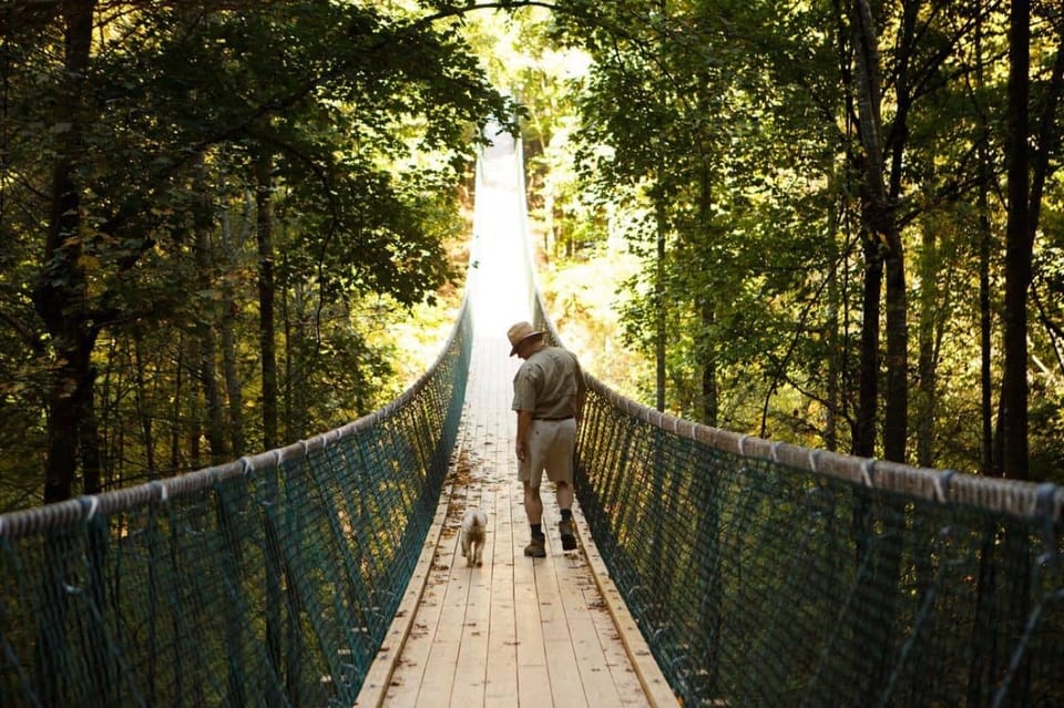 Foxfire Mountain: Hiking & Swinging Bridge Family Adventure – Foxfire Mountain Adventure Park, Tennessee