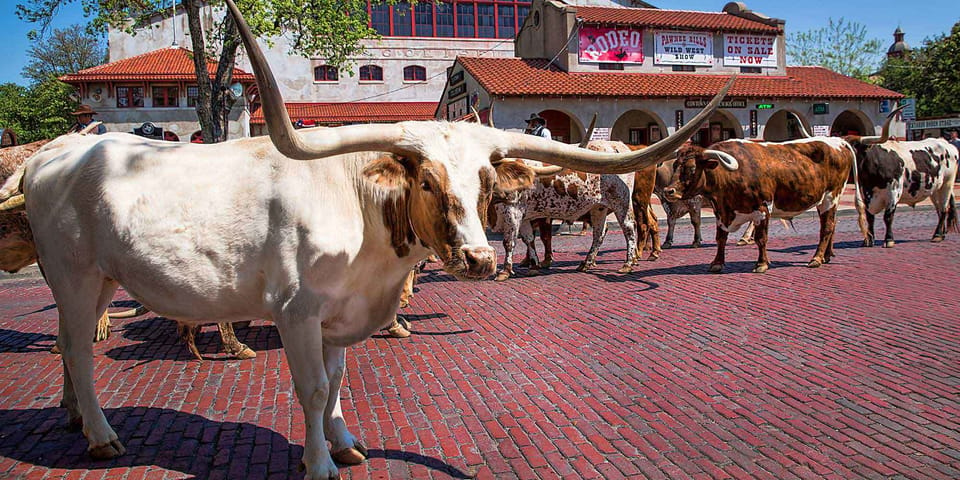 From Dallas: Fort Worth Guided Day Tour – Fort Worth, Texas