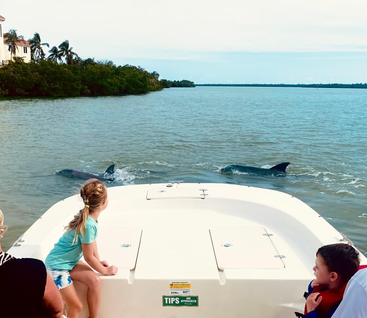 From Goodland: Private Shelling and Dolphin Watching Cruise – Goodland, Florida