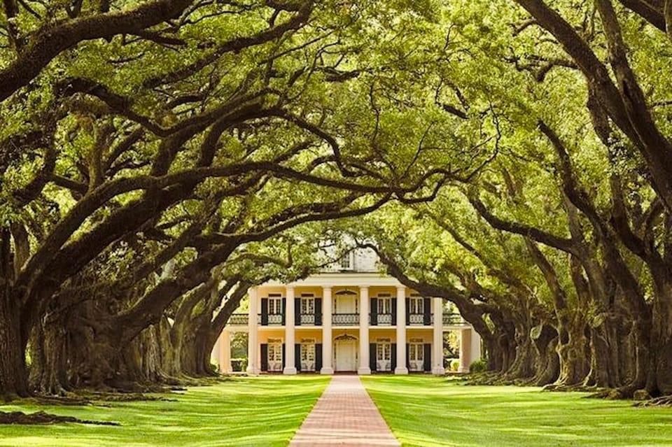 From New Orleans: Oak Alley or Laura Plantation Tour – Vacherie, Louisiana