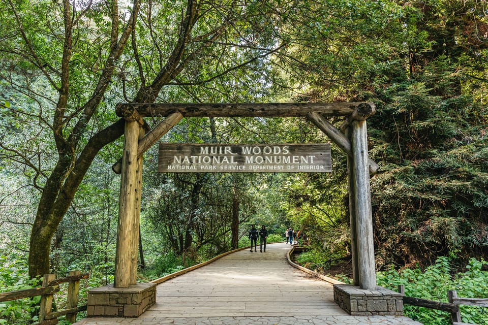 From San Francisco: Guided Muir Woods Tour – San Francisco, California