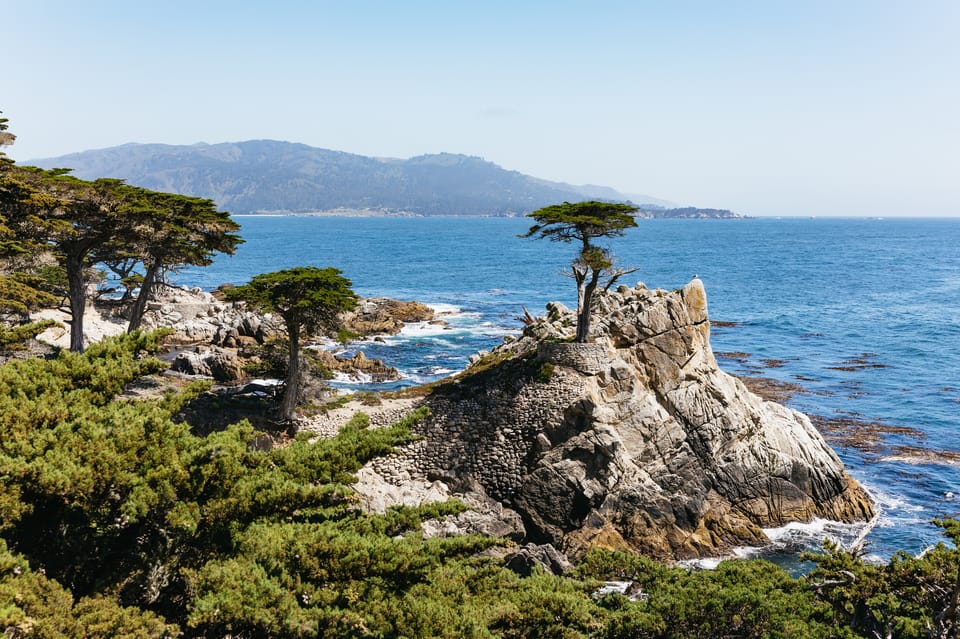 From San Francisco: Monterey and Carmel Day Tour – Monterey, California