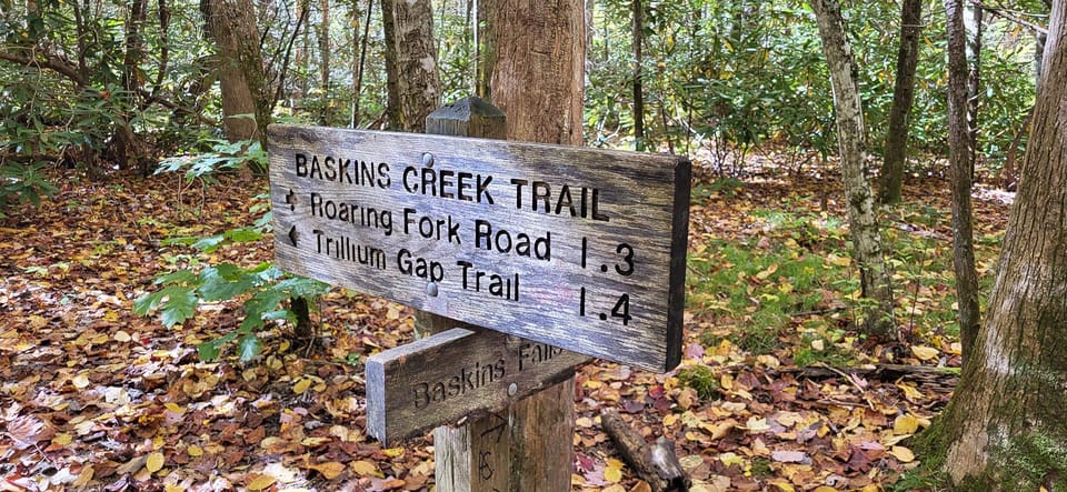 Gatlinburg: Great Smoky Mts National Park Waterfall Tour – Great Smoky Mountains National Park, Tennessee