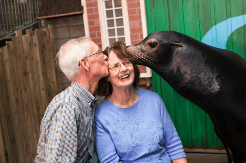 Georgia Aquarium: Sea Lion Encounter – Atlanta, Georgia