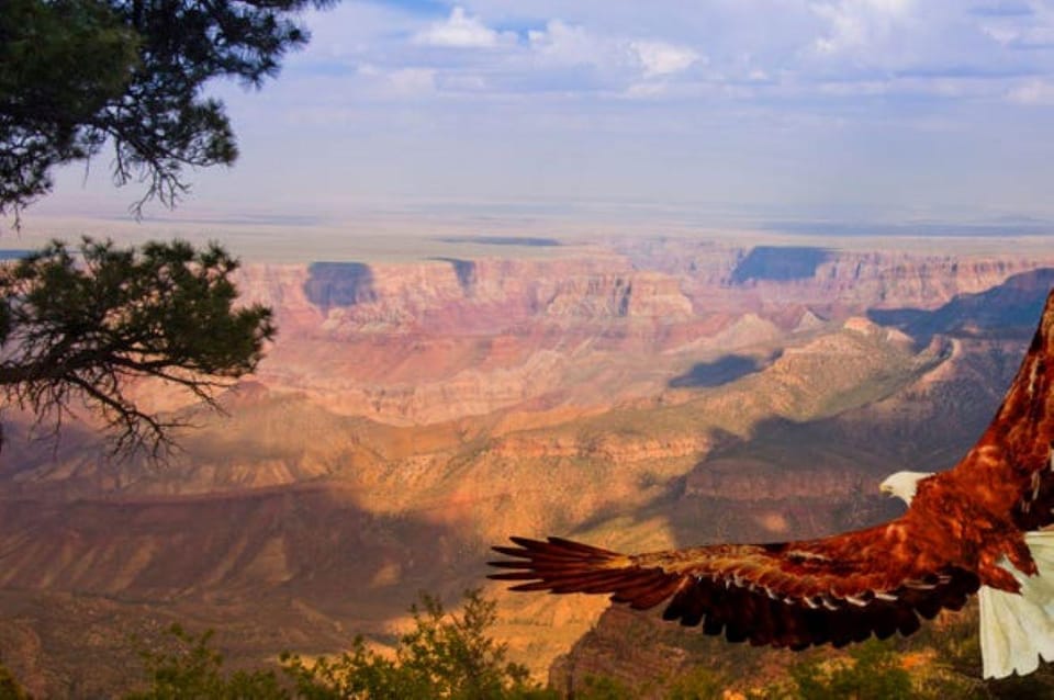 Grand Canyon West: 1-Day Entrance Ticket – Grand Canyon West Rim, Arizona