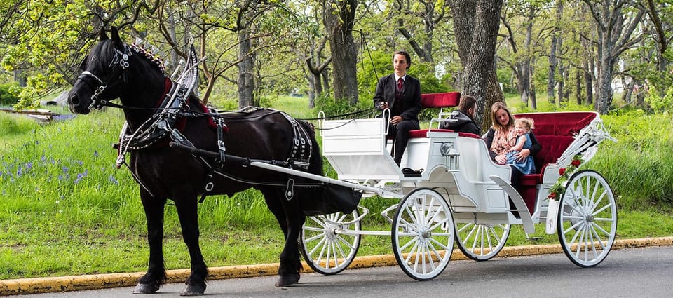 Guided Central Park and NYC Horse Carriage Ride – New York City, New York