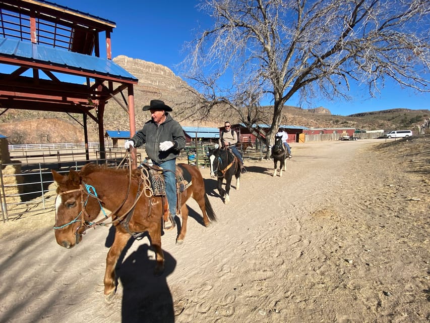 Horseback Ride thru Joshua Tree Forest with Buffalo & Lunch – Arizona’s Joshua Tree Forest, Arizona