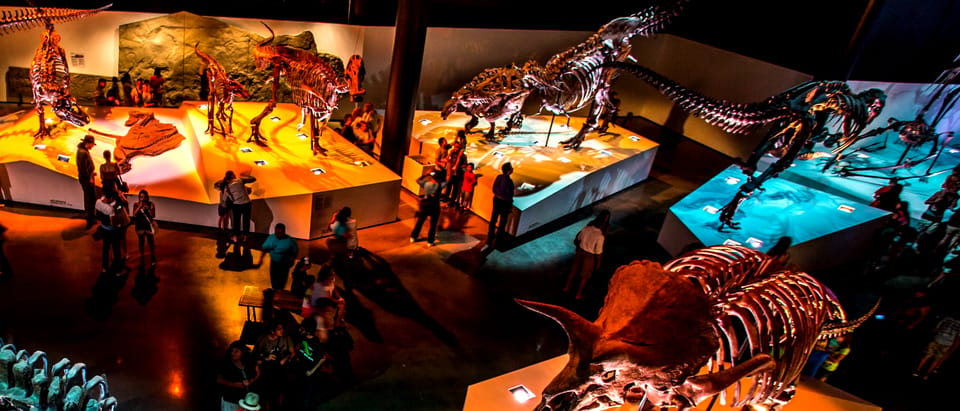 Houston: 1-Day or 3-Day Museum Pass – Houston, Texas