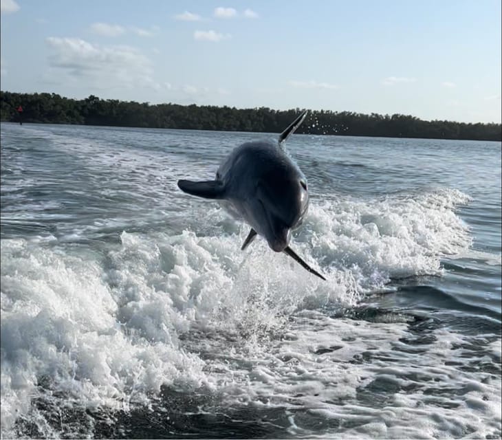 Islamorada: Multi-Activity Private Boat Charter – Islamorada, Florida