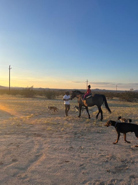 Joshua Tree: Pony Ride for Children – California, California