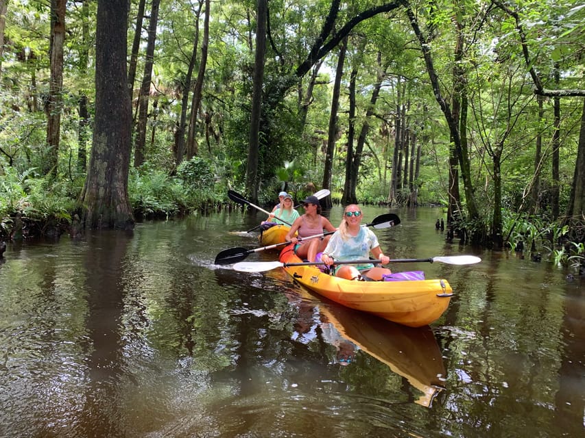 Jupiter: Loxahatchee River Scenic Kayak Tour – Jupiter Outdoor Center, Florida