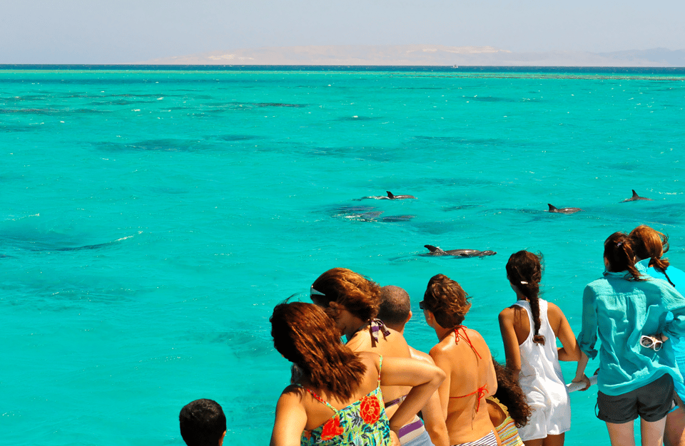 Key West: Dolphin & Snorkel Boat Tour with Sunset Option – Key West, Florida